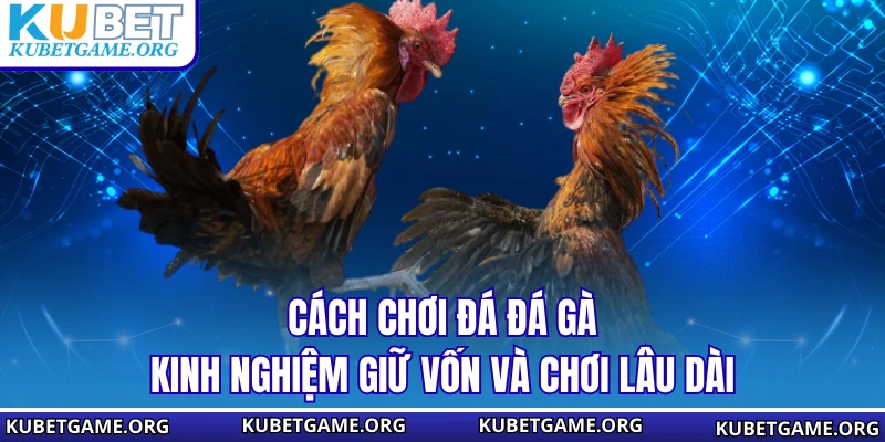 Cách Chơi Đá Đá Gà - Kinh Nghiệm Giữ Vốn Và Chơi Lâu Dài
