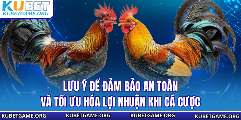 Lưu ý để đảm bảo an toàn và tối ưu hóa lợi nhuận khi cá cược